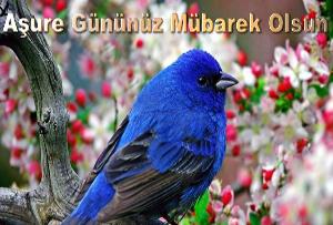 Aşure Gününüz Mübarek Olsun
